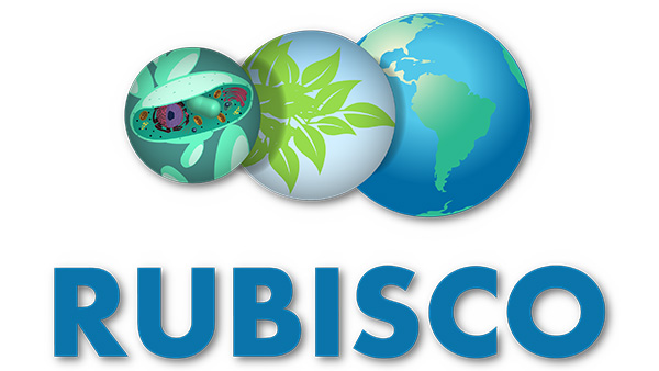 RUBISCO logo. (Image credit: RUBISCO)