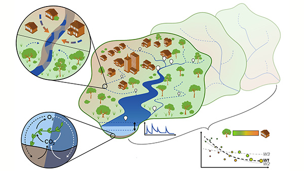 Conceptual diagram of research activities focused on improving our predictive understanding of watershed function under changing land use and climate conditions.  (Image credit: Oak Ridge National Lab)