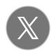 X icon